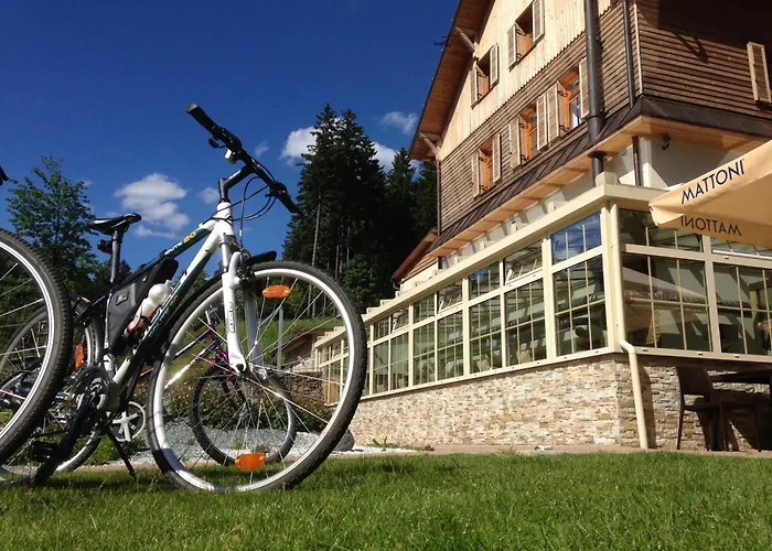 Rezidence Golf 4*